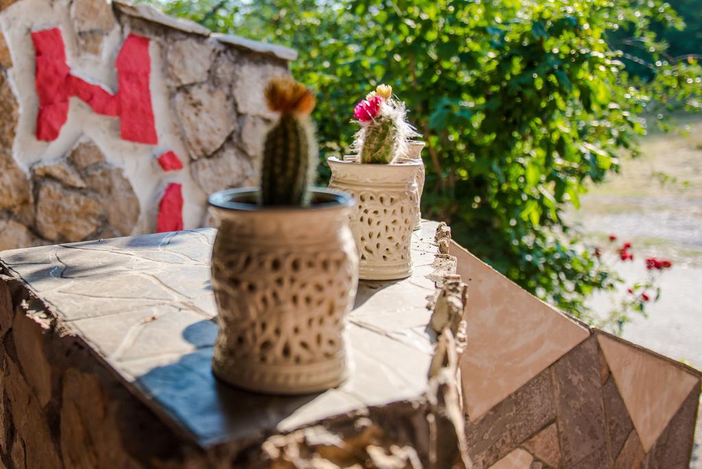 Ana Stjepan Nikolic - Pilgrim'S 2Nd Home Međugorje Exteriér fotografie